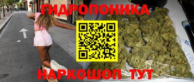 крисы Новодвинск