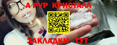 крисы Новодвинск